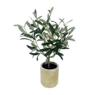 17" Olive Leaf Plant in Ceramic Pot by Ashland® | Michaels Stores