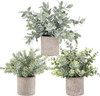 Click for more info about Der Rose 3 Pack Mini Potted Fake Plants Artificial Plastic Eucalyptus Plants for Home Office Desk...