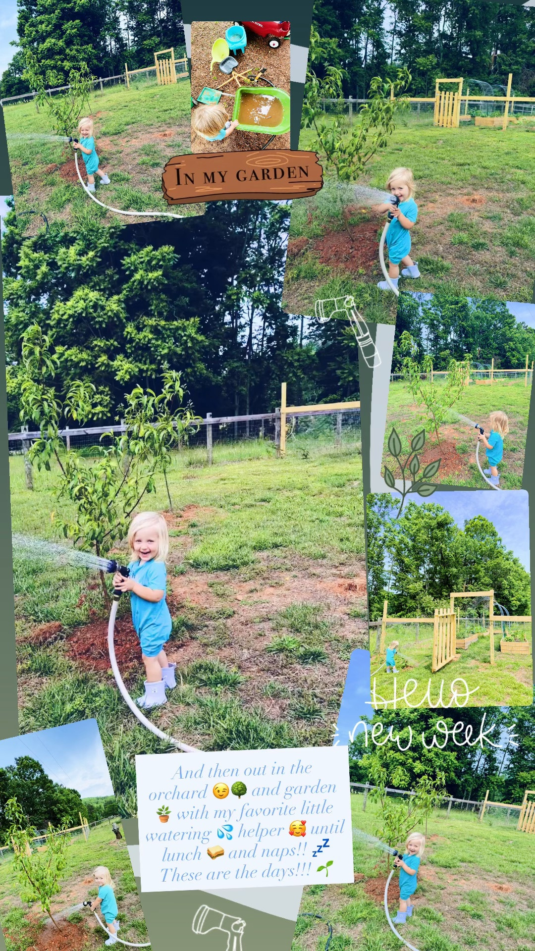 And then out in the orchard 😉🌳 and garden 🪴 with my favorite little watering 💦 helper 🥰 until lunch 🥪 and naps!! 💤  These are the days!!! 🌱

#LTKdayinmylife
