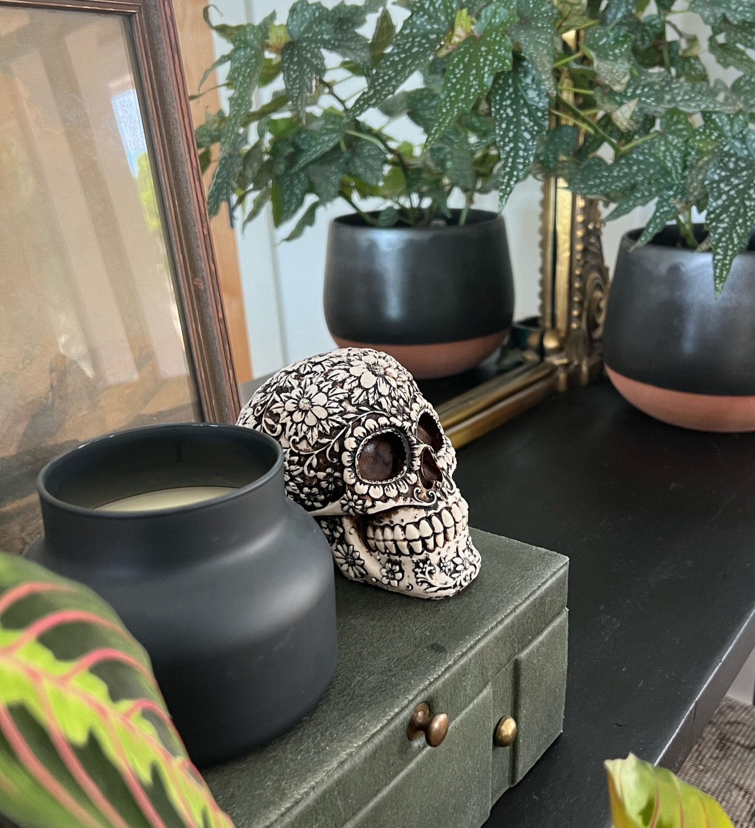 My favorite Halloween decor.

#LTKHalloween #LTKSeasonal #LTKhome