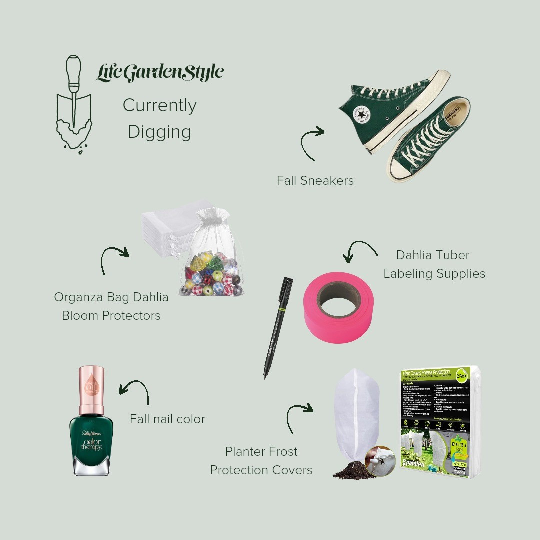 Currently Digging: October Recap ✅️ Fall/winter sneakers and nail color in my favorite shade of 💚Frost covers to protect your fall (and spring) planters from freezing temperatures.A few essentials for growing dahlias: organza bags to protect the blooms from insect damage & flagging tape/Weatherproof marker for labeling varieties at the end of the season.My hope is that you find inspiration or something you can use through the LGS Currently Digging series.💚

#LTKSeasonal #LTKFindsUnder50 #LTKBeauty