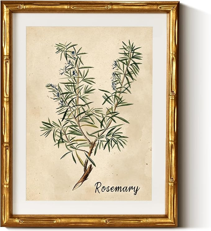 InSimSea Gold Bamboo Framed Canvas Wall Art, Retro Herbs Rosemary Botanical Paintings, Antique Vi... | Amazon (US)
