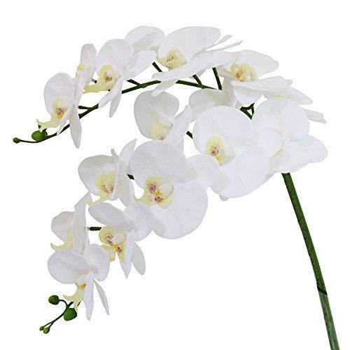 Htmeing 38 Inch Artificial Phalaenopsis Flowers Branches Real Touch (Not Silk) Orchids Flowers for H | Amazon (US)