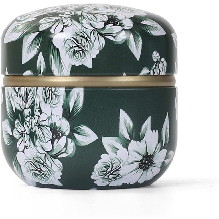 NUOLUX 2pcs Portable Tea Canister Decorative Candy Jars Household Tea Storage Cans - Walmart.com | Walmart (US)