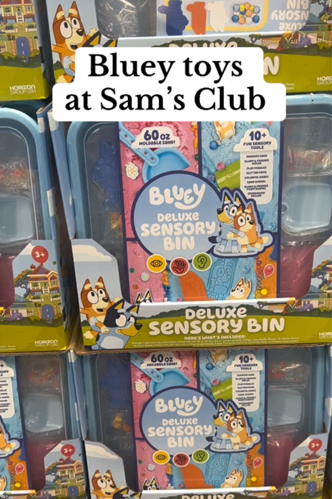 Bluey toys at Sam’s Club! The sensory bin is exclusively available at Sam’s Club #bluey #samsclub #samsclubfinds #samsclubbing #samsclubdeals @Sam’s Club 