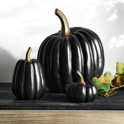 Decorative Black & Gold Pumpkins | Williams-Sonoma
