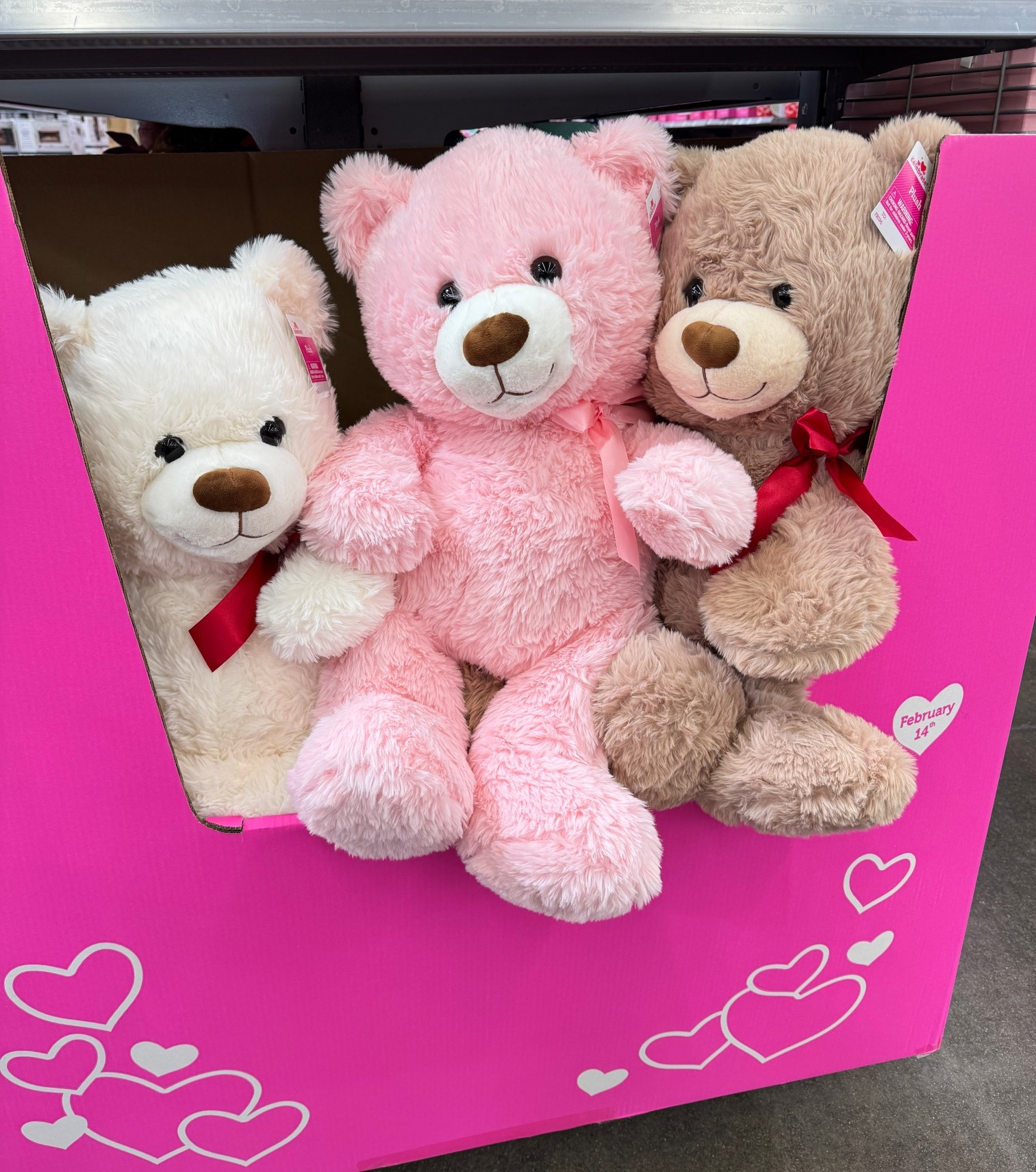 Walmart has the cutest $15 giant teddy bears for Valentine’s Day!🩷
Linked some other gift ideas too!!


#LTKValentine #LTKSeasonal #LTKKids