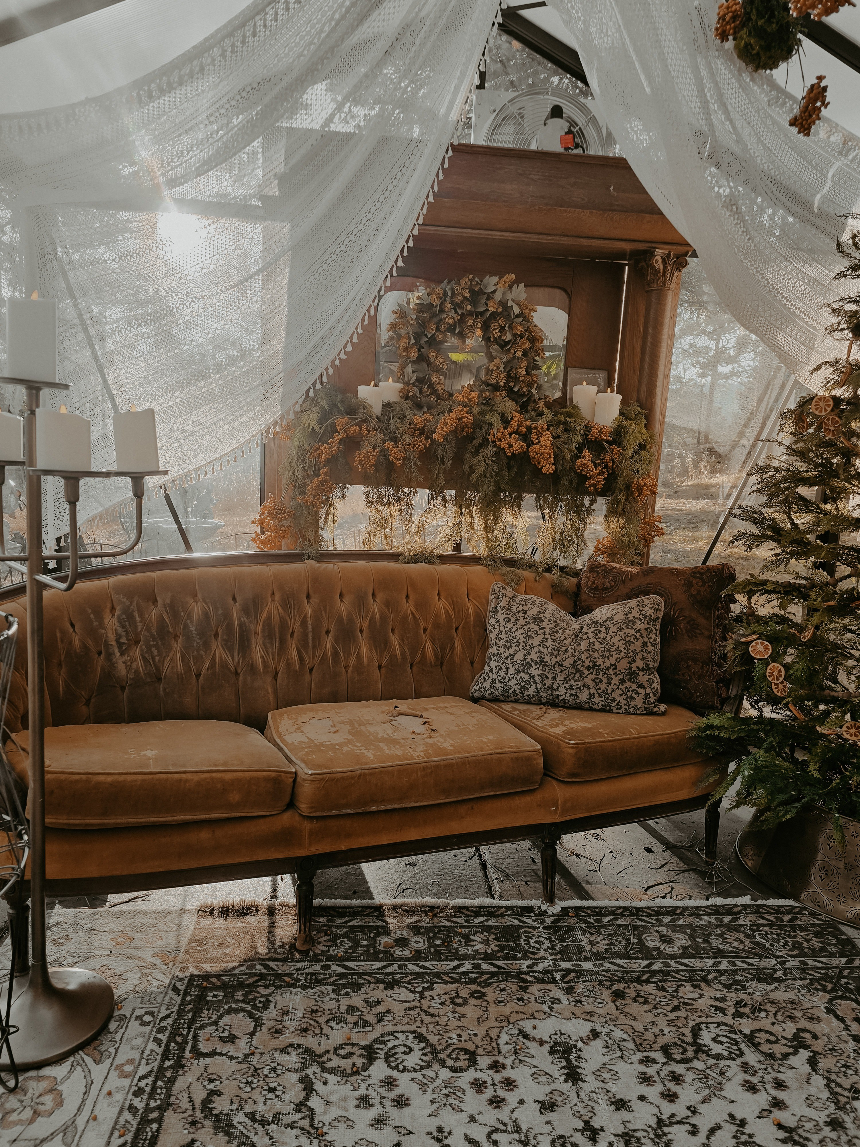 ✨️ holiday greenhouse vibes ✨️

#LTKHoliday #LTKSeasonal #LTKHome