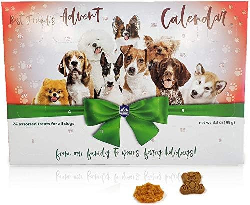 Best Friend's Advent Calendar | 24 Unique Treats for All Dogs | 24 Days of Treats from Washington St | Amazon (US)