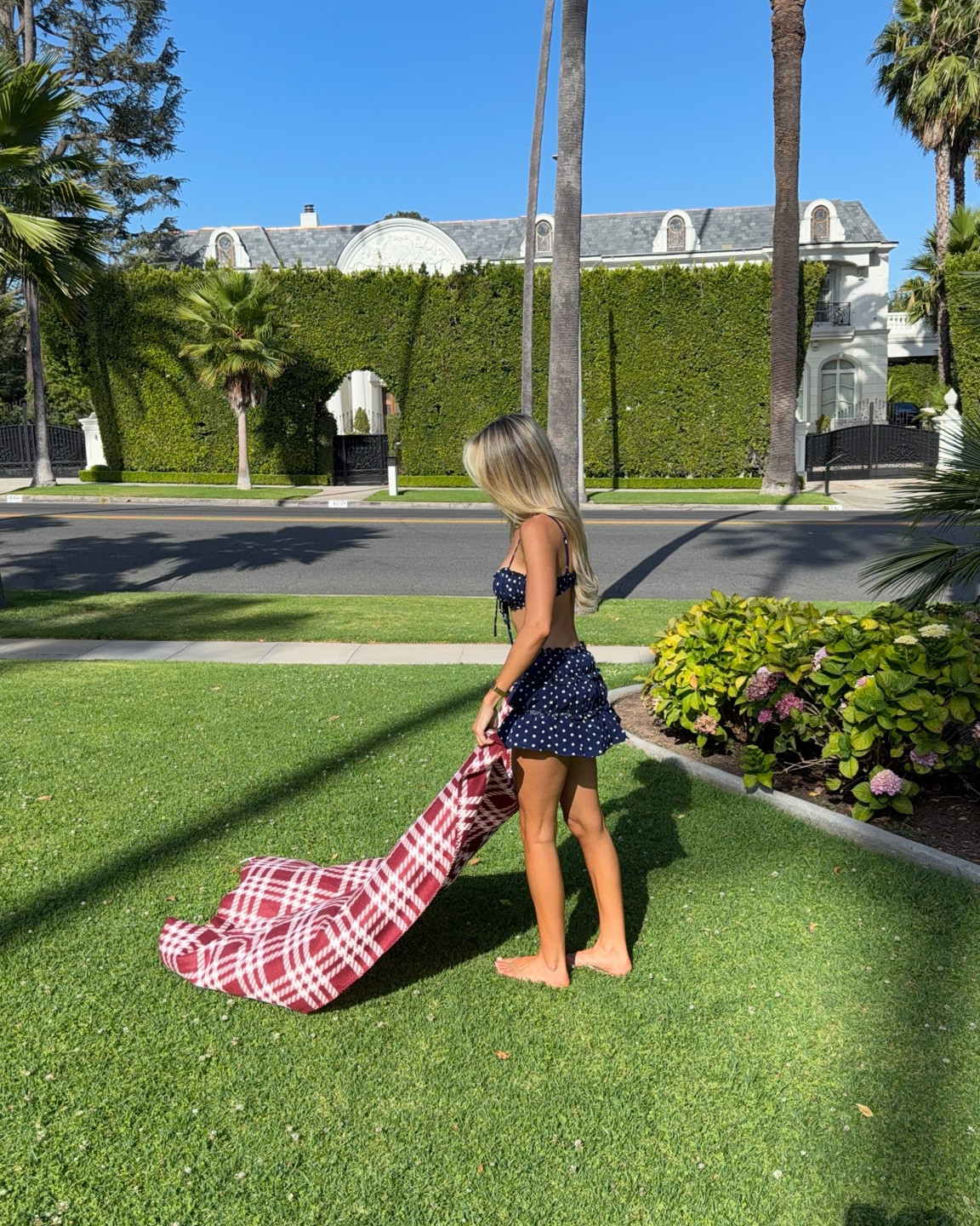 Summer picnic