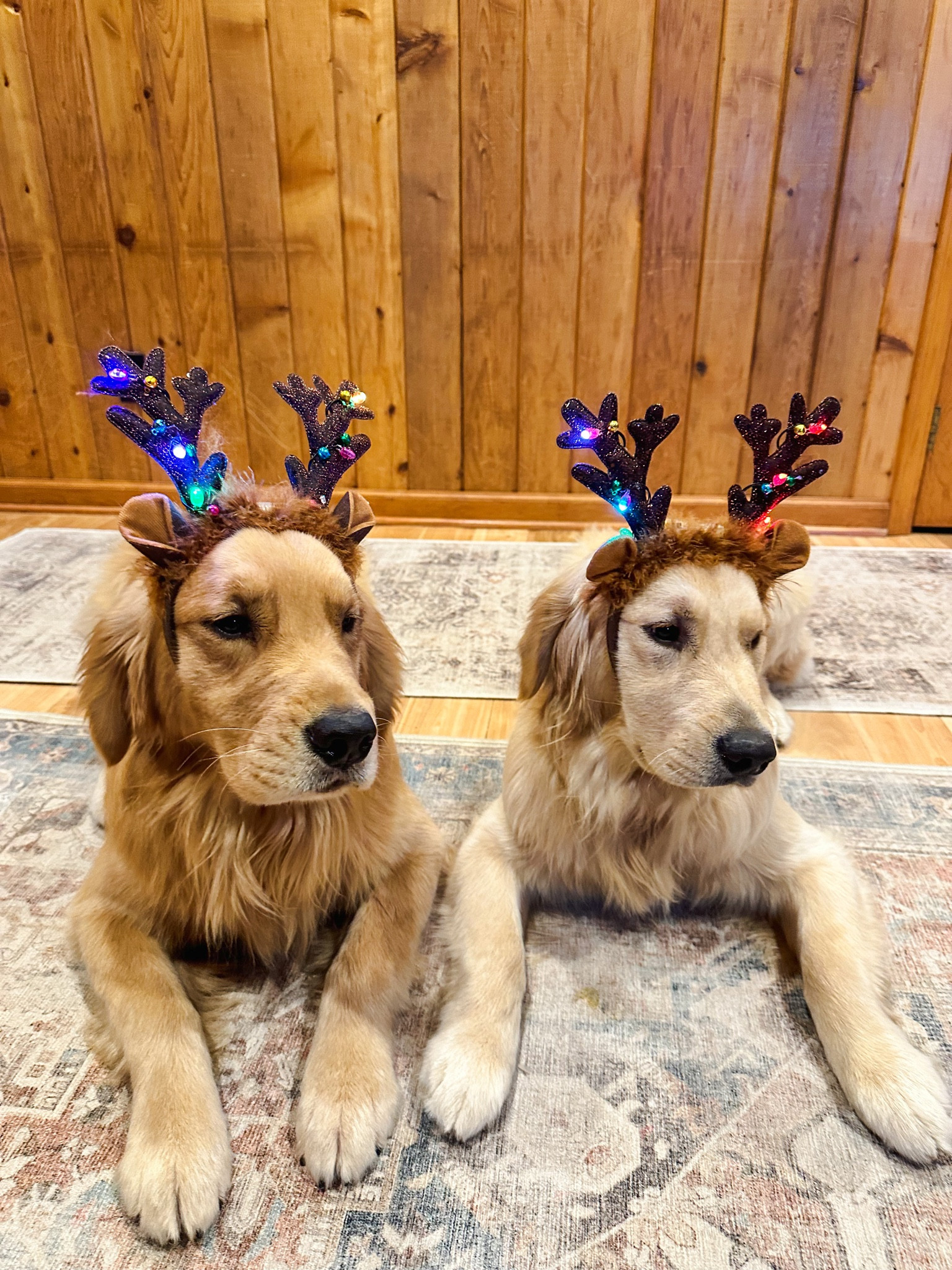 Light up antlers! 

#LTKSeasonal #LTKstyletip #LTKHoliday