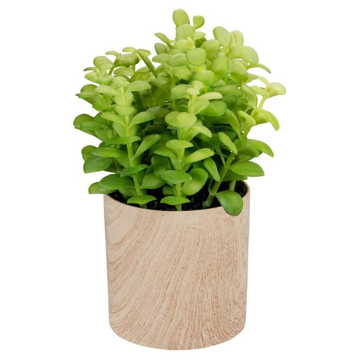 Northlight 10" Green Artificial Privet Plant in Faux Wood Pot | Target