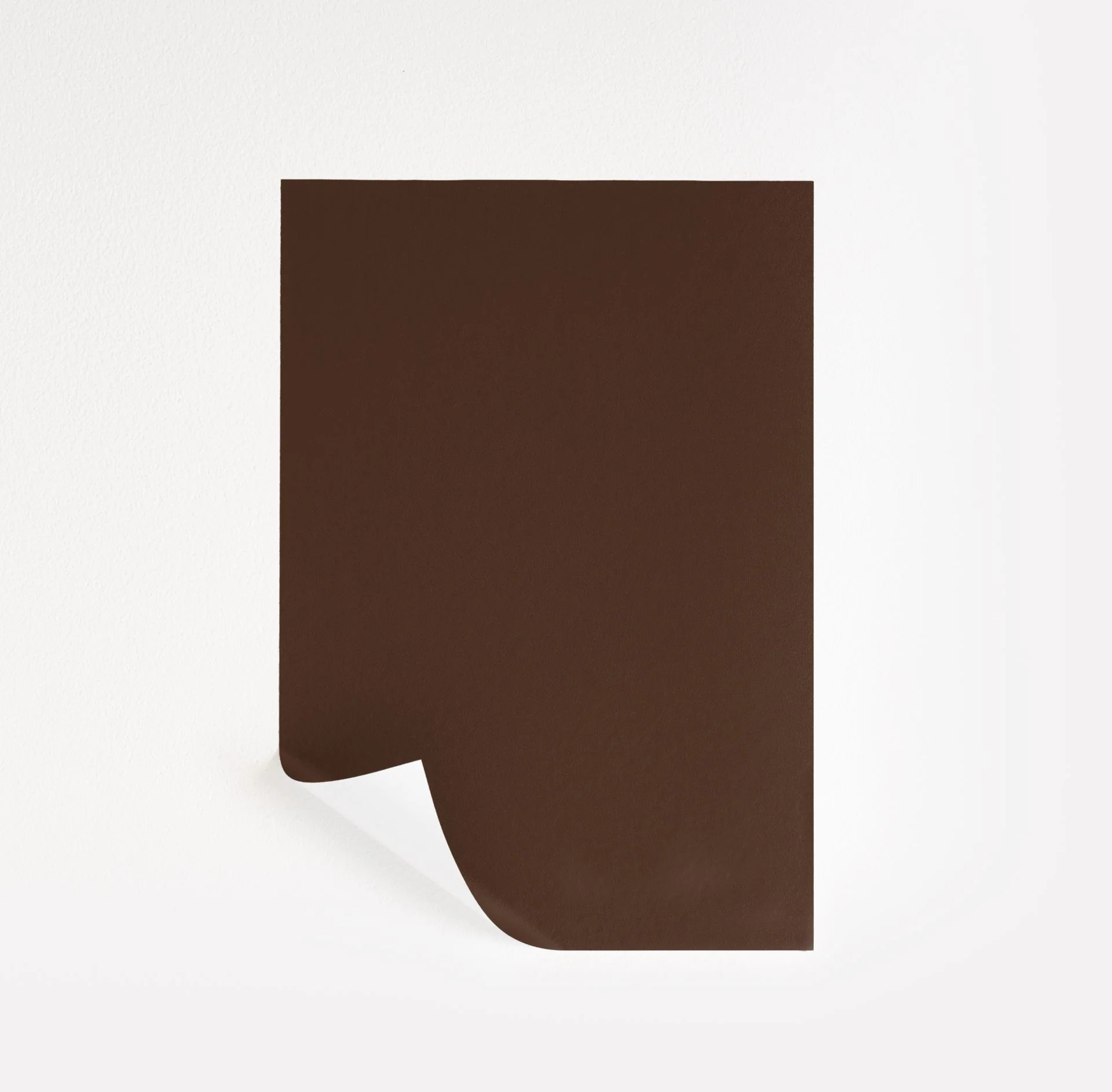 French Roast Paint Sample by Sherwin-Williams (6069) | Peel & Stick Paint Sample | Samplize