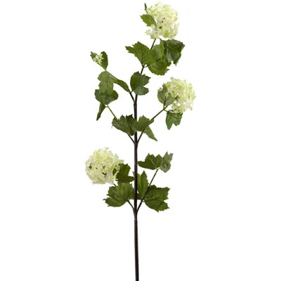 Snowball Spray Stem | Wayfair North America
