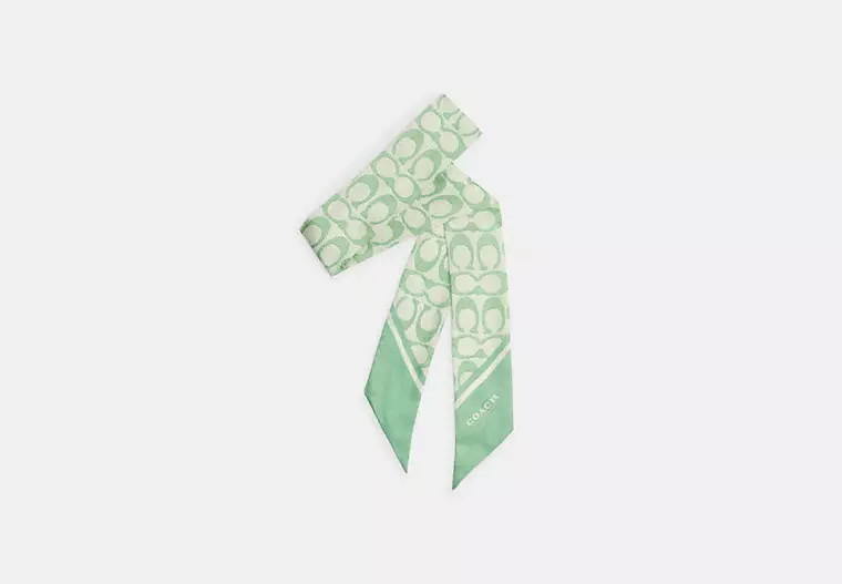 Vintage Signature Print Silk Skinny Scarf | Coach (US)