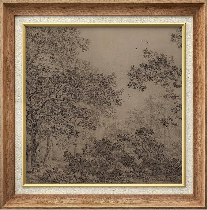 MUDECOR Premium Framed Wall Art Vintage Forest Sketch Classic Illustrations Fine Art Decorative R... | Amazon (US)