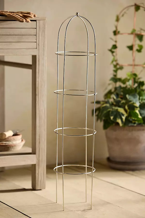 Obelisk Topiary Frame | Anthropologie (US)