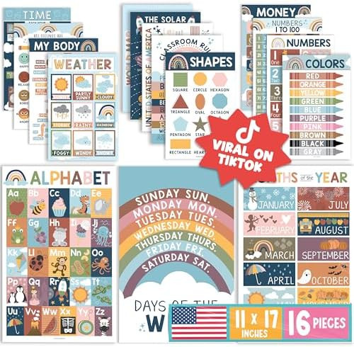 Hadley Designs 16 Educational Posters for Toddlers 1-3, Laminated Toddler Learning Posters for Pr... | Amazon (US)