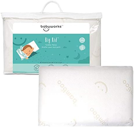 Baby Works - Toddler Pillow With Pillowcase, Soft & Supportive Memory Foam, Chiropractor Recommen... | Amazon (CA)