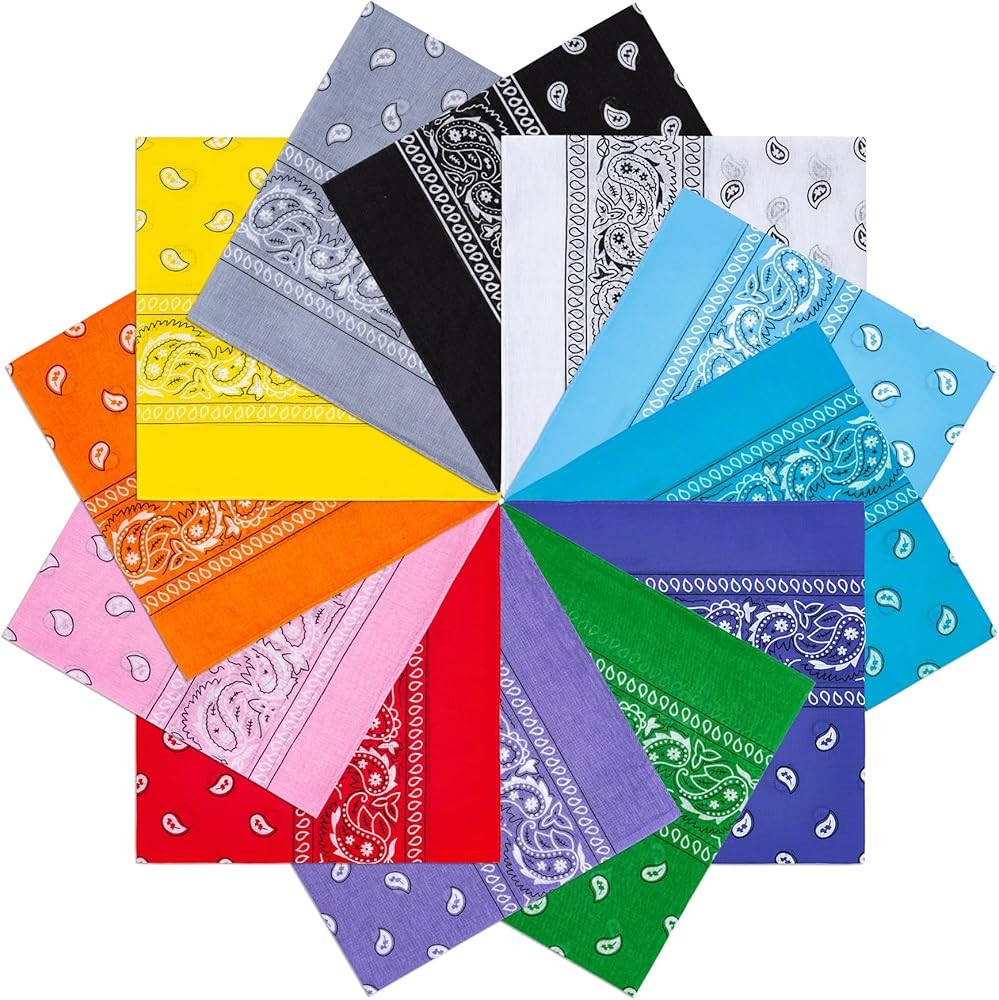 BOOMIBOO 12Pcs Bandanas For Men＆Women,100％ Premium Quality Cotton Handkerchidf 22''×22'' Pai... | Amazon (US)