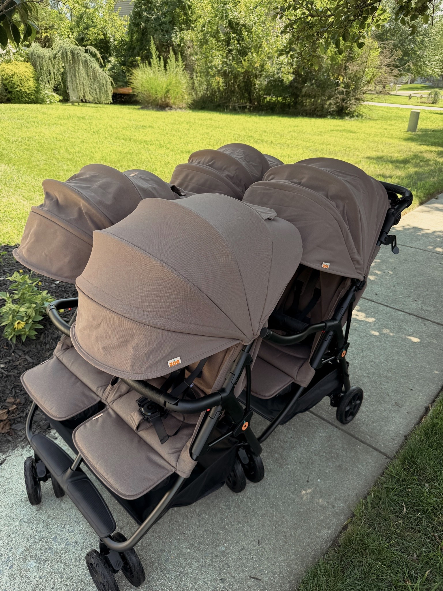 the new Zoe Tribe V3 in the color Cocoa 🤎✨