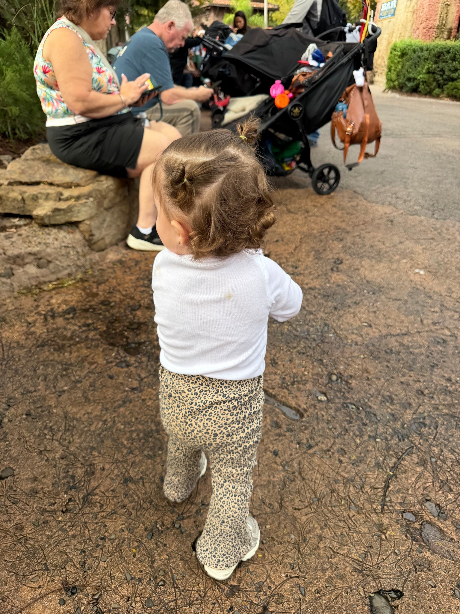 Frankie’s animal kingdom Disney fit!

#LTKKids #LTKBaby