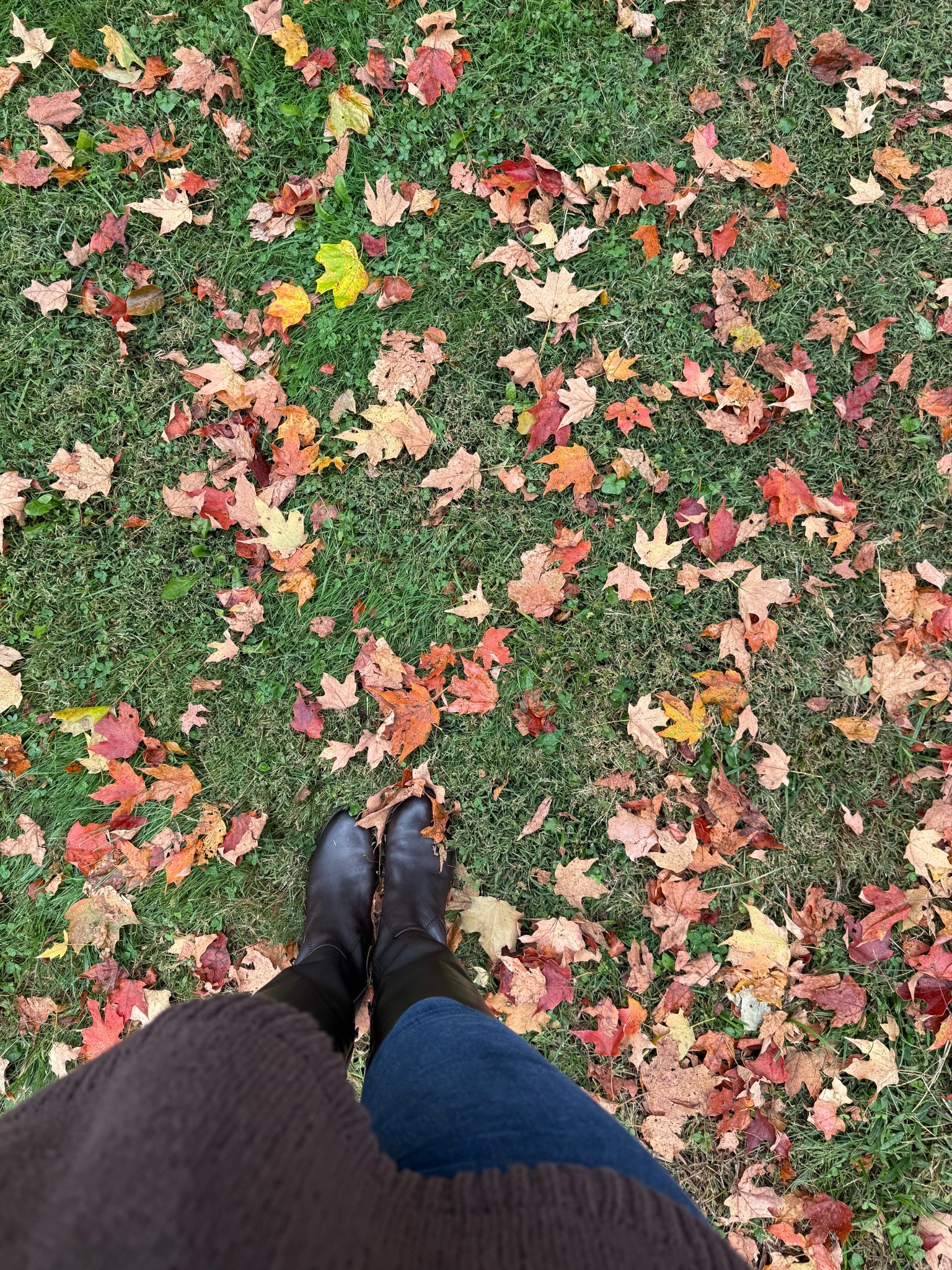 Fall Boots | Riding Boots | Style Over 30 | 

#LTKStyleTip #LTKSeasonal #LTKShoeCrush
