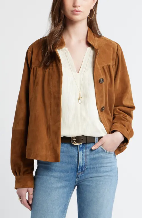 Treasure & Bond Suede Balloon Sleeve Jacket in Tan at Nordstrom, Size X-Large | Nordstrom