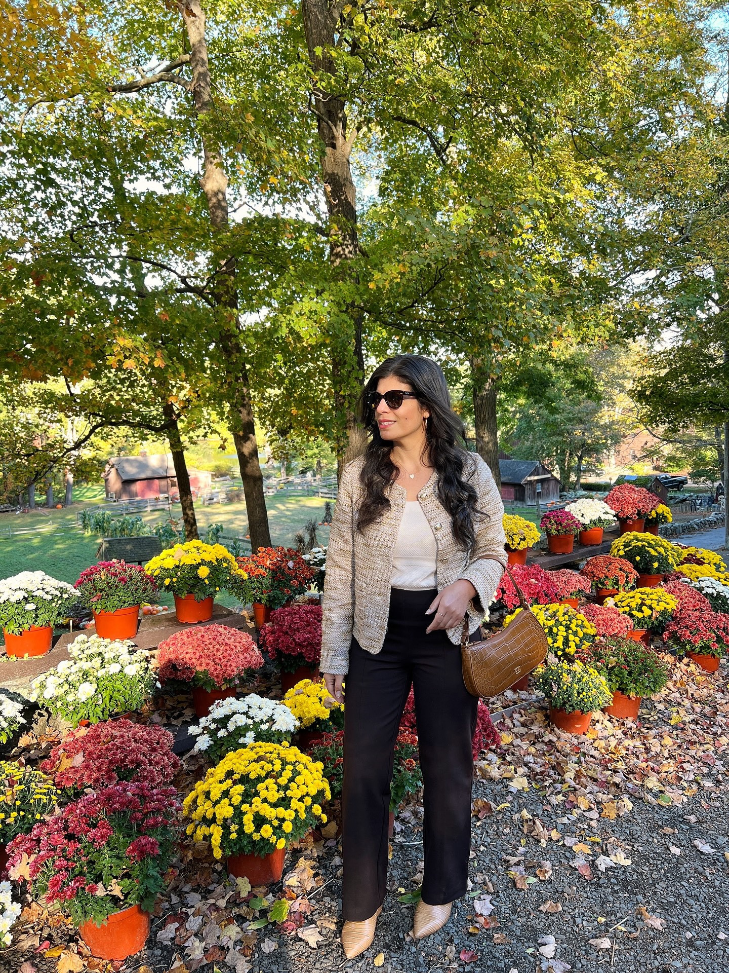 Have the mums you bought a month ago and put on your porch died yet? 

Ours are definitely looking a bit sad compared to this former glory. 

Loving these @bananarepublic everywhere ponte pants - they are cropped which means perfect when you’re 5’1”!
.
.
.
.
#currentlywearing #whatiwore #realoutfitgram  #fashionblogger #styleblog  #outfitpost #whatiwore #ootd #ootdfashion #discoverunder5k #ctbloggerbabes 
#connecticut #connecticutblogger #newengland #newenglandblogger