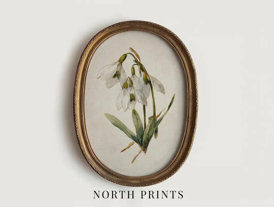 Snowdrop Botanical Art Print, Winter January Birth Flower Artwork, Christmas Floral Wall Art PRIN... | Etsy (US)