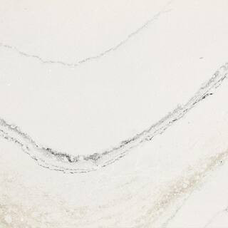 CAMBRIA 6 in. x 10 in. Quartz Countertop Sample in Lakedale 10936175 - The Home Depot | The Home Depot