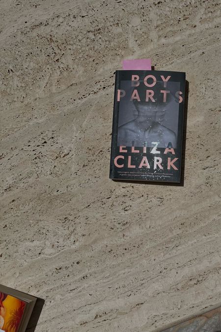 Holiday reading recs incoming 🖤 This one was so interesting, a very unique, strong female voice 🙌🏻 Holiday packing list | Poolside books | Boy parts Eliza Clark | Carry on luggage 

#LTKsummer #LTKtravel #LTKeurope