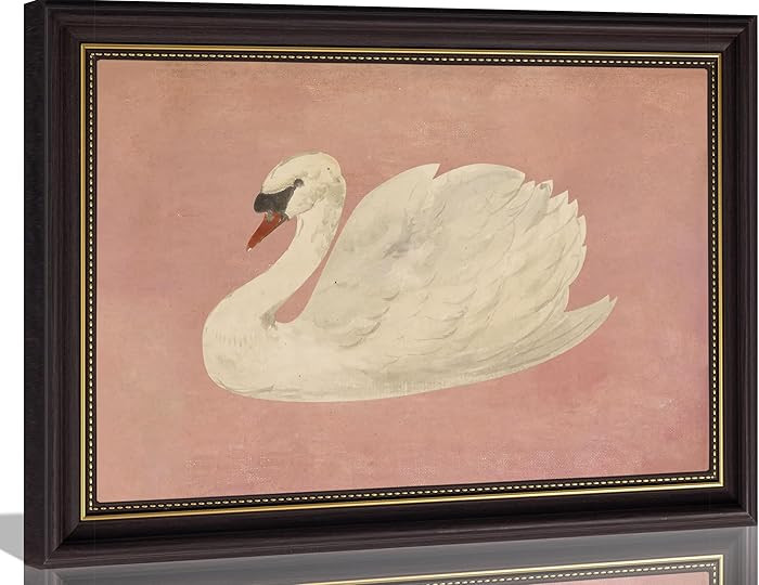Framed Vintage White Swan Canvas Wall Art Grace Pink Swan Painting Picture Wall Decor Eclectic Pi... | Amazon (US)
