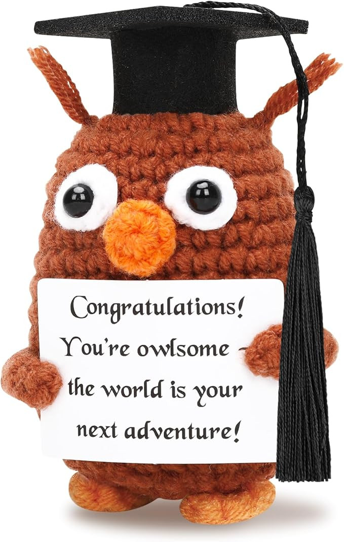 2025 Graduation Gifts Mini Funny Positive Crochet Owl with Cap for Her Him, Emotional Crochet Ani... | Amazon (US)