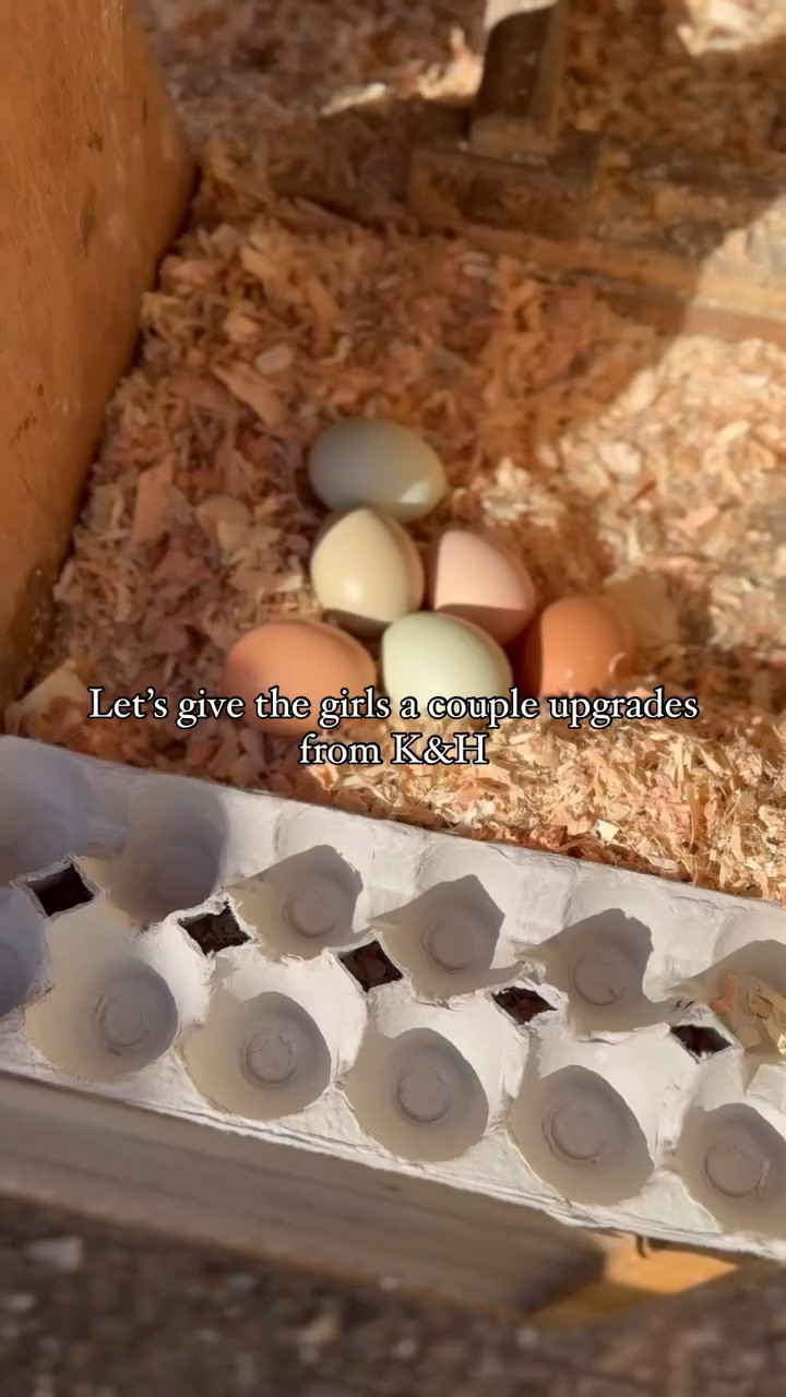 Let’s talk about this ✨heated✨ waterer and heated pad from @khpet. Being in NorCal we definitely don’t get crazy low temps (or at least where I am) but it still gets cold and I want my girls to be comfortable. 

The waterer is such a great design. I was so tired of constantly cleaning the other one because they loved to just perch up there. This one is designed to avoid that issue. The removable filter is also genius because it catches anything that they decide to kick in there and it’s an easy clean. 

I can’t recommend these enough. Check out the link in my bio and posted to my stories to get yours 😍🐓

#ad #khpets #chickenmama #chickenlife #coop #chickencoop #homestead