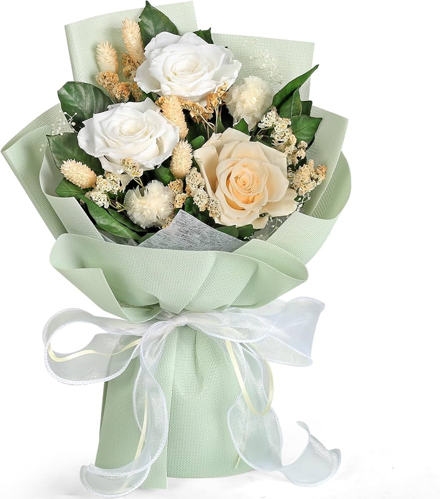 Bloom‘s Diary Preserved Flower Bouquet, Long Lasting Forever Roses Bouquet, Gift for Valentine'... | Amazon (US)