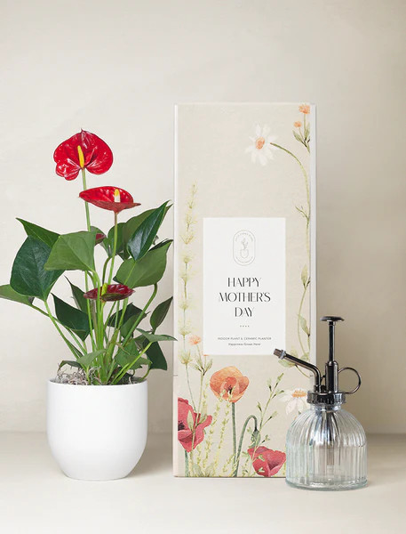 Mother's Day Red Anthurium Plant & Mister | Lula's Garden