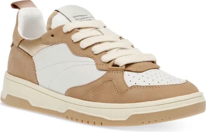 Steve Madden Everlie Sneaker (Women) | Nordstrom | Nordstrom