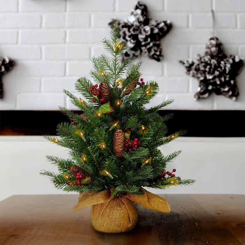 Belson 2' Lighted Spruce Christmas Tree | Wayfair North America