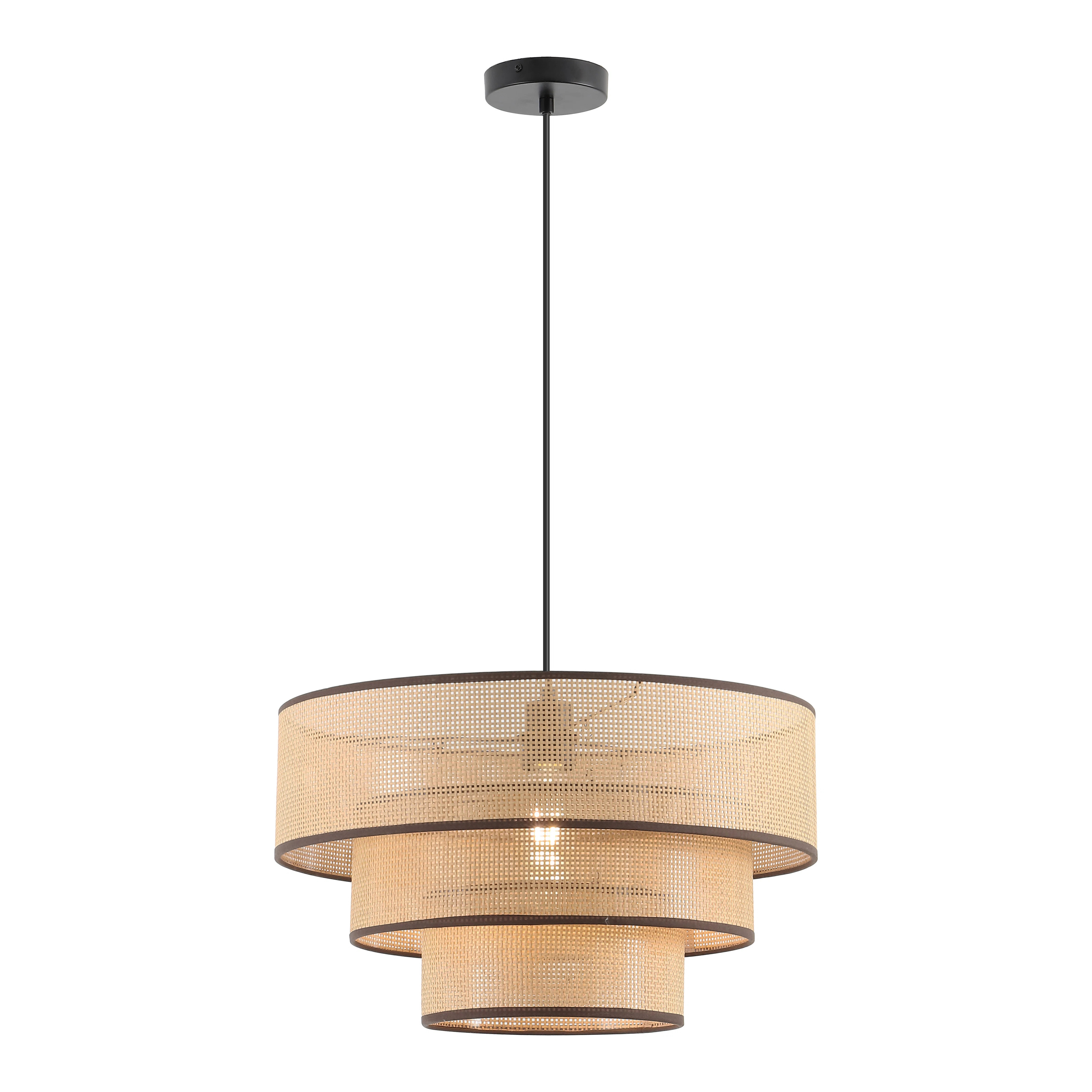 Catriana 20 Inch Pendant | Wayfair North America