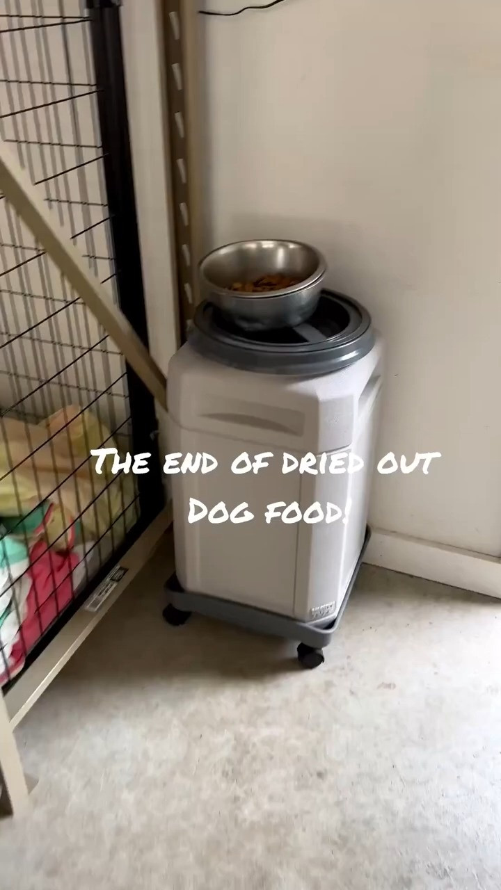 This rolling dog food container is a top 10 purchase! It keeps the food dry and fresh.  

 #LTKHome #LTKFindsUnder50 #LTKPets