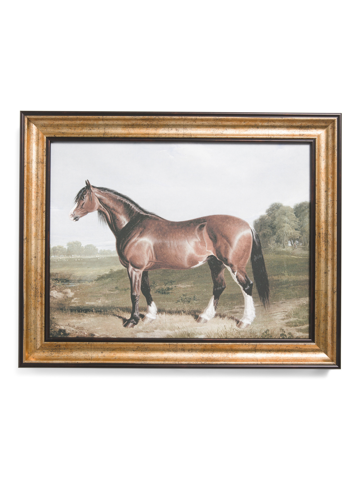 16x20 Horse In Landscape Wall Art | Home | Marshalls | Marshalls