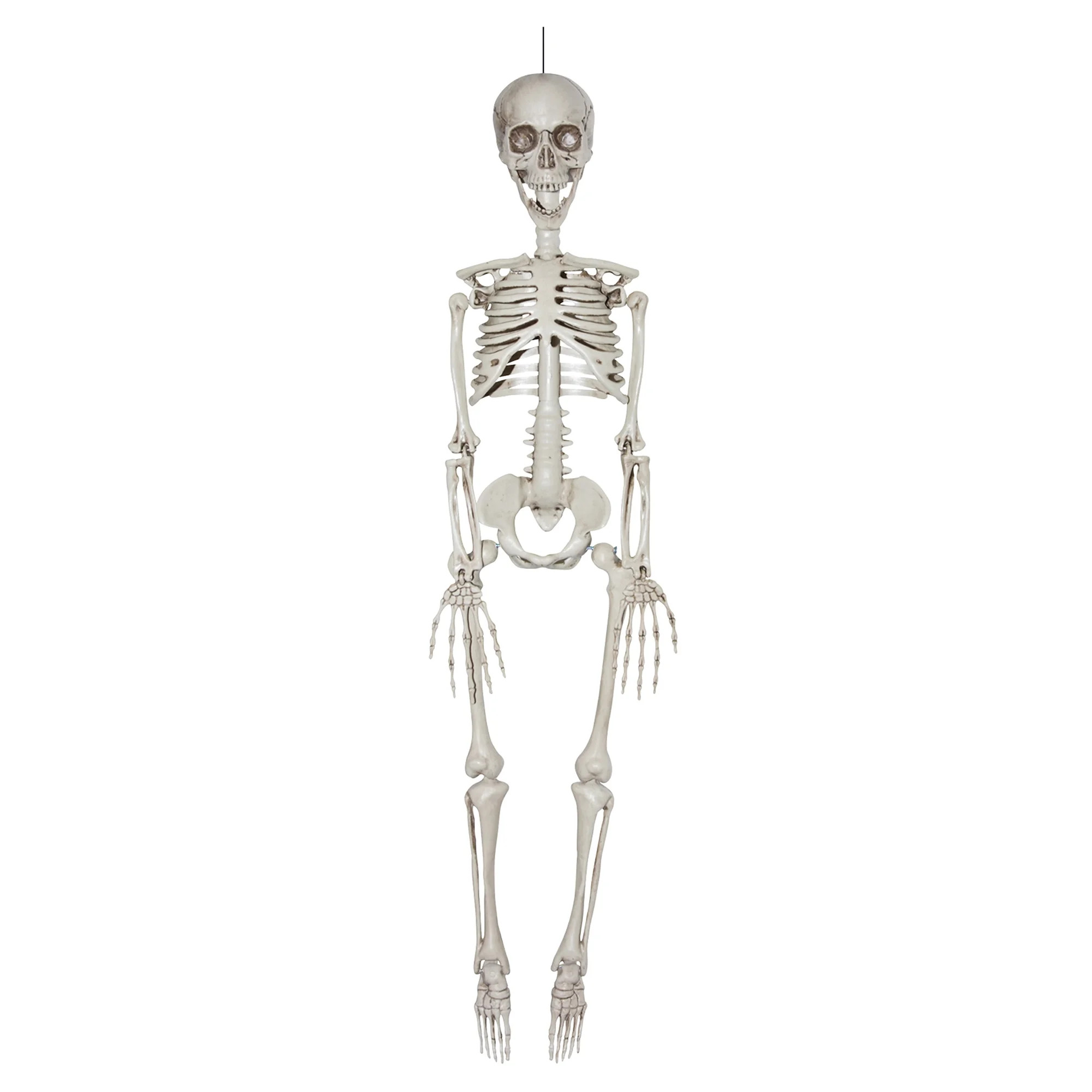 Way to Celebrate Posable Hanging Skeleton 35", 35in Skeleton 1pc | Walmart (CA)