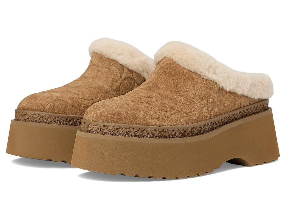COACH Cecelia Clog In Signature Suede Women's Slippers Tobacco : 6 B - Medium, EVA/Shearling/Suede | Zappos