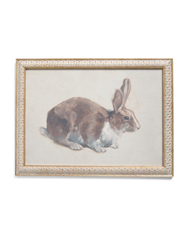 12x16 Easter Bunny Framed Wall Art | Marshalls