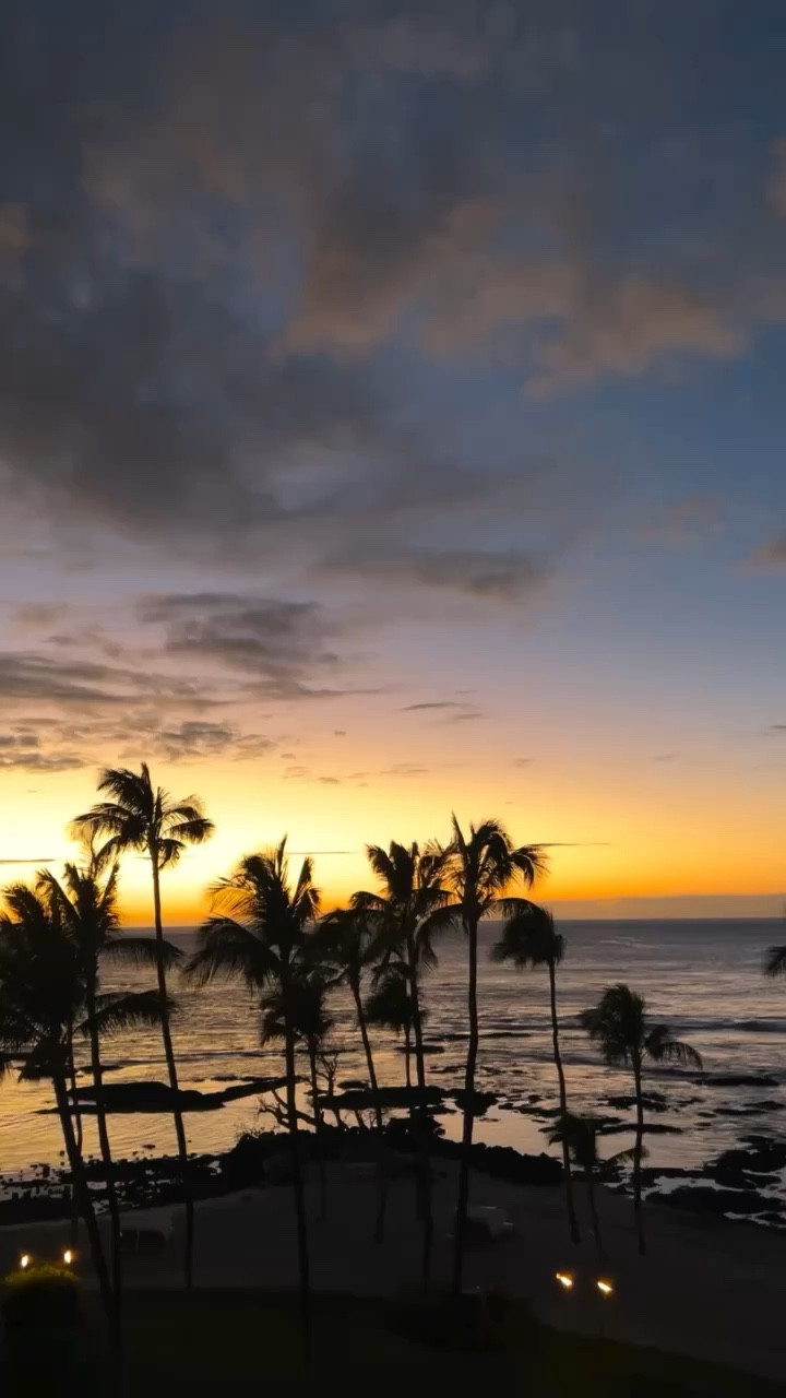 Hawaii trip of a lifetime!
Beach, summer, travel outfits 

#LTKSeasonal #LTKtravel #LTKbeauty