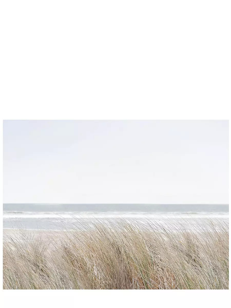 "Windy Beach Dunes" by Caroline Pacula | Serena and Lily