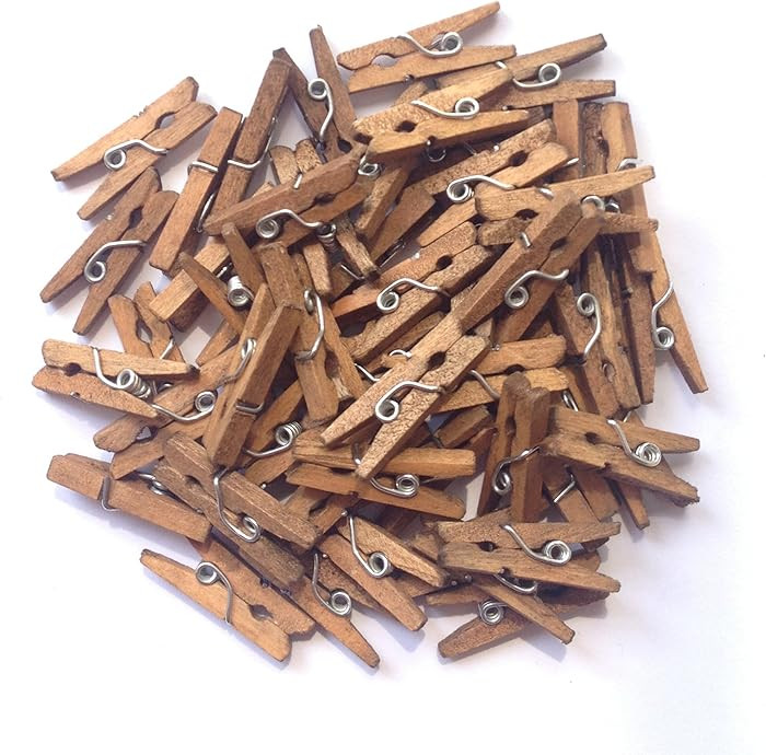 LWR CRAFTS Wooden Mini Clothespins 200 Per Pack 1" 2.5cm (Jacobean) | Amazon (US)
