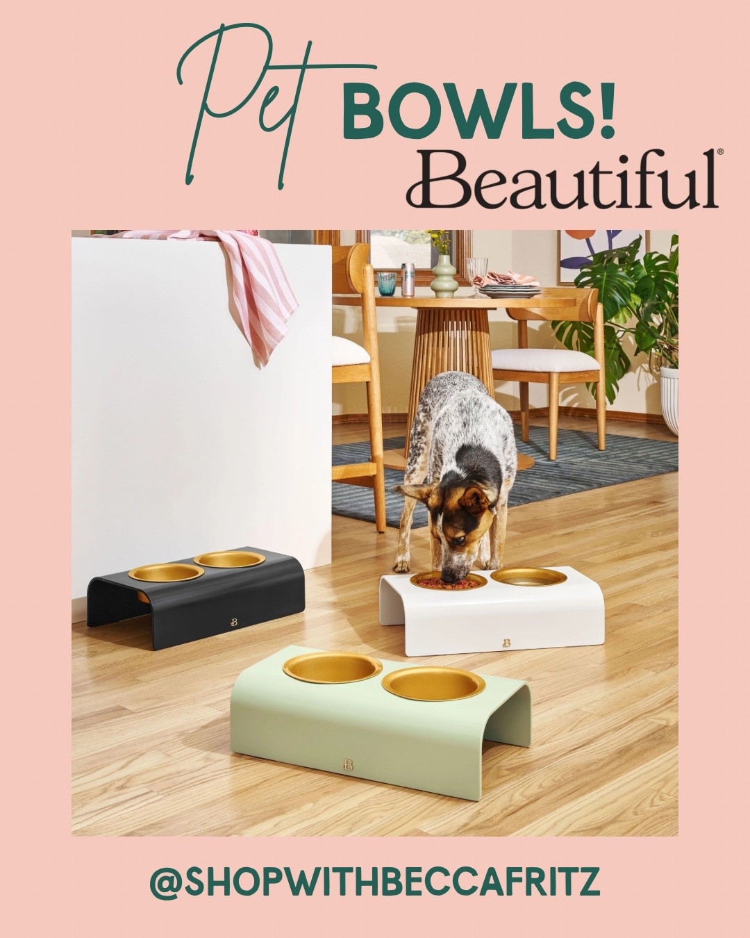 These gorgeous pet bowls from the Beautiful by Drew Barrymore line are seriously next-level — functional, elevated, and blend perfectly into your home aesthetic. ✨

The gold interiors + soft matte finish = major design moment for your fur baby! 😍
Available in multiple colors and dishwasher-safe too 🙌🏻

🔗 Linked on my LTK — grab them while they’re still in stock!

#LTKPetFinds #LTKHomeStyle #BeautifulByDrew #PetEssentials #DogMomStyle #ChicHomeVibes #shopwithme @shop.LTK

#LTKHome #LTKPets #LTKFindsUnder50