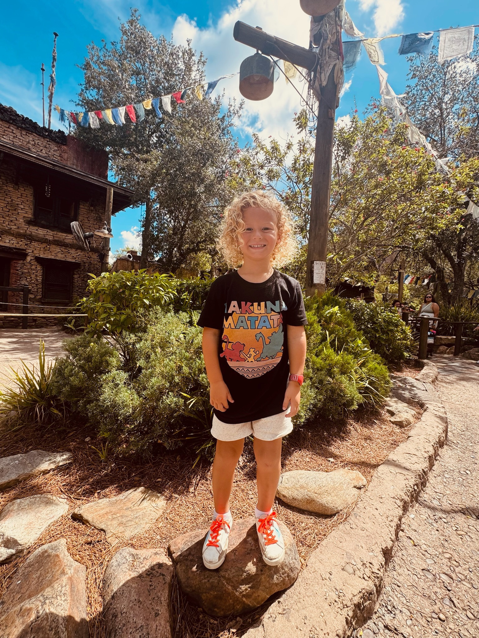 B’s Animal Kingdom tee / Lion King shirt for little boys / B’s golden goose are linked / linked similar shorts 

#LTKFindsUnder50 #LTKStyleTip #LTKKids